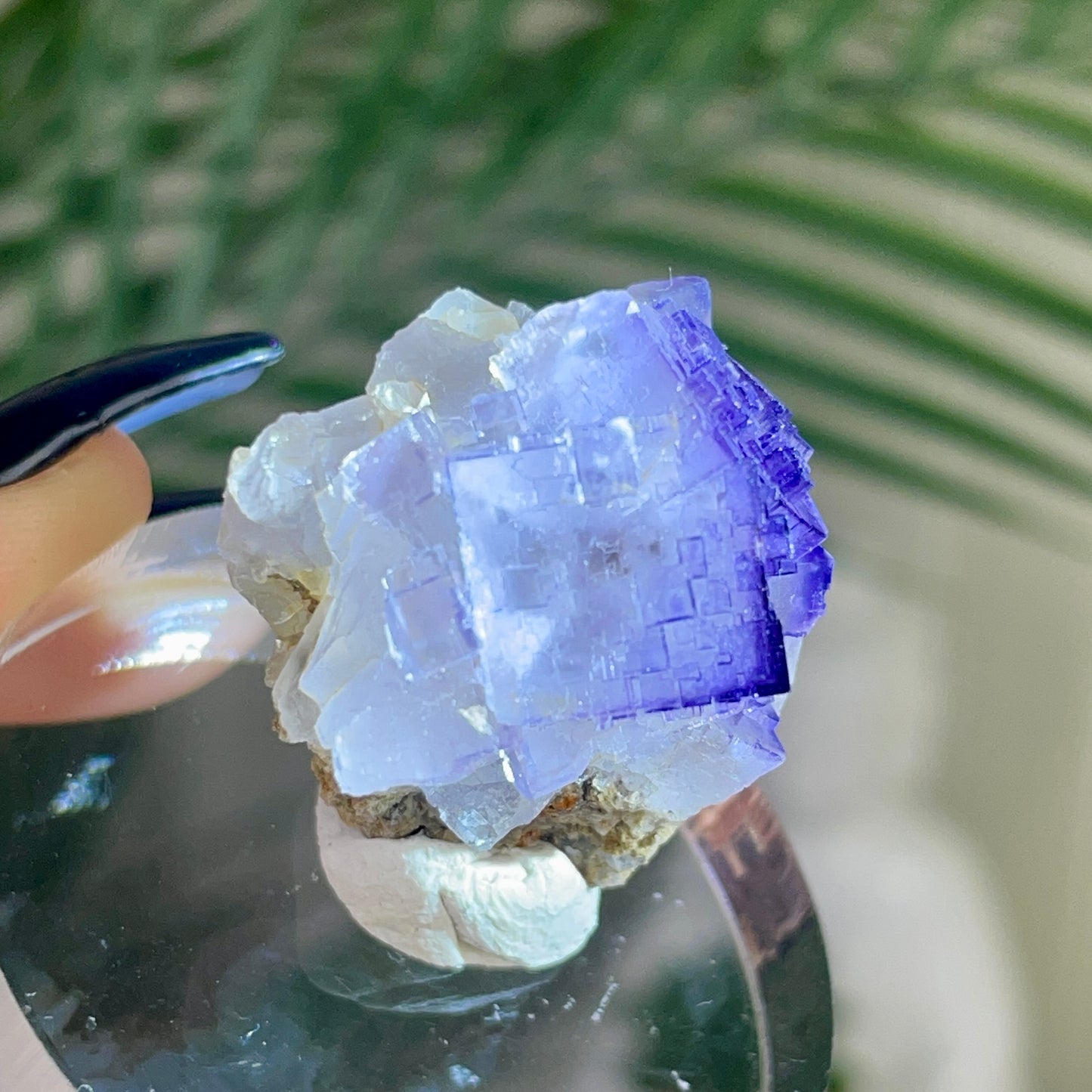 UV Reactive Muzquiz Fluorite w/ Celestite
