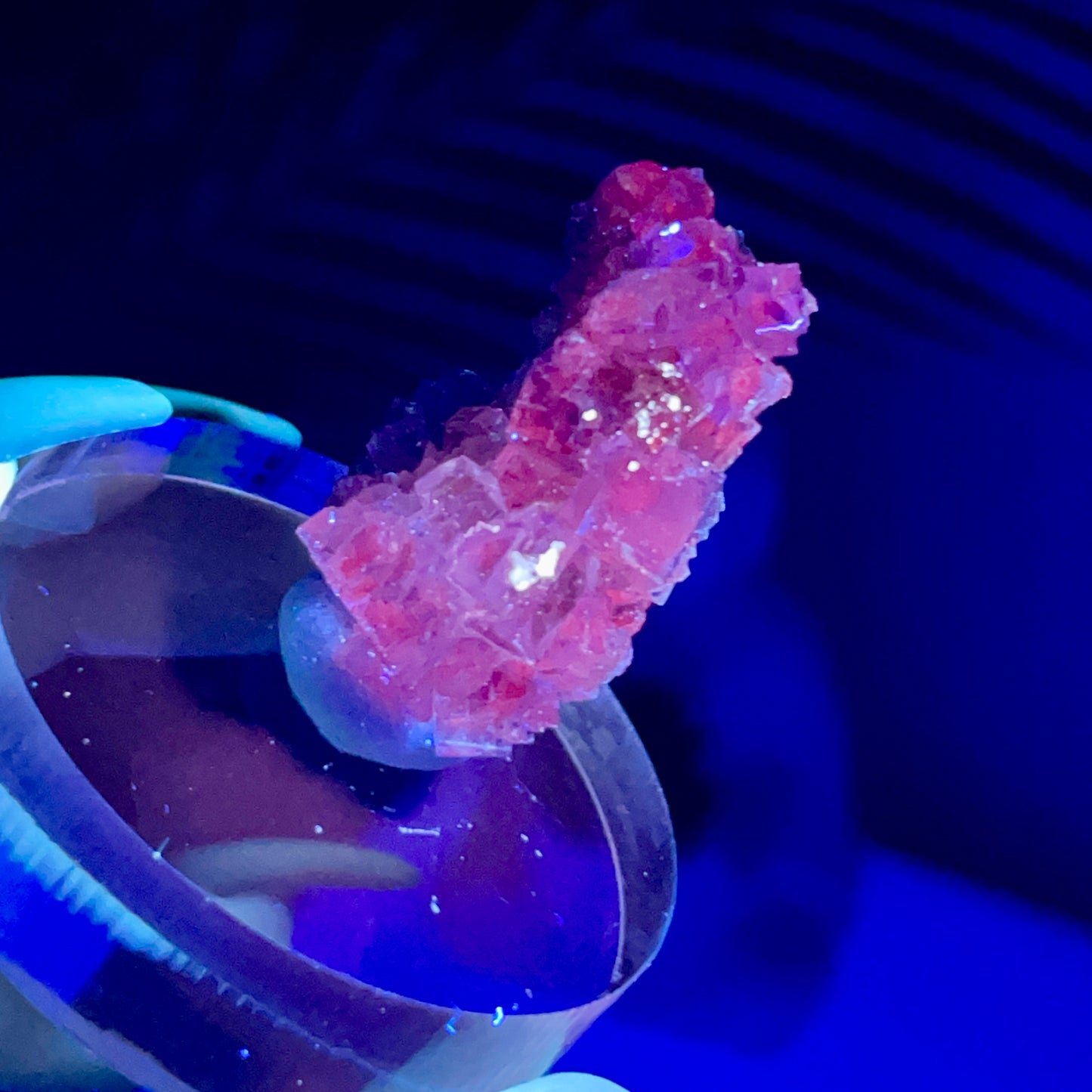 UV Reactive Muzquiz Fluorite w/ Celestite