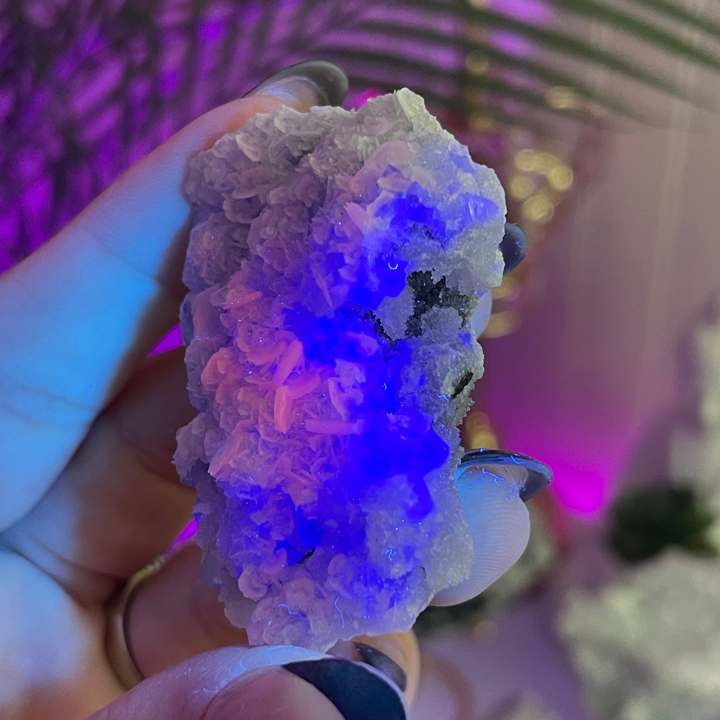 UV Reactive Fujian Fluorite w/ Coin Calcite