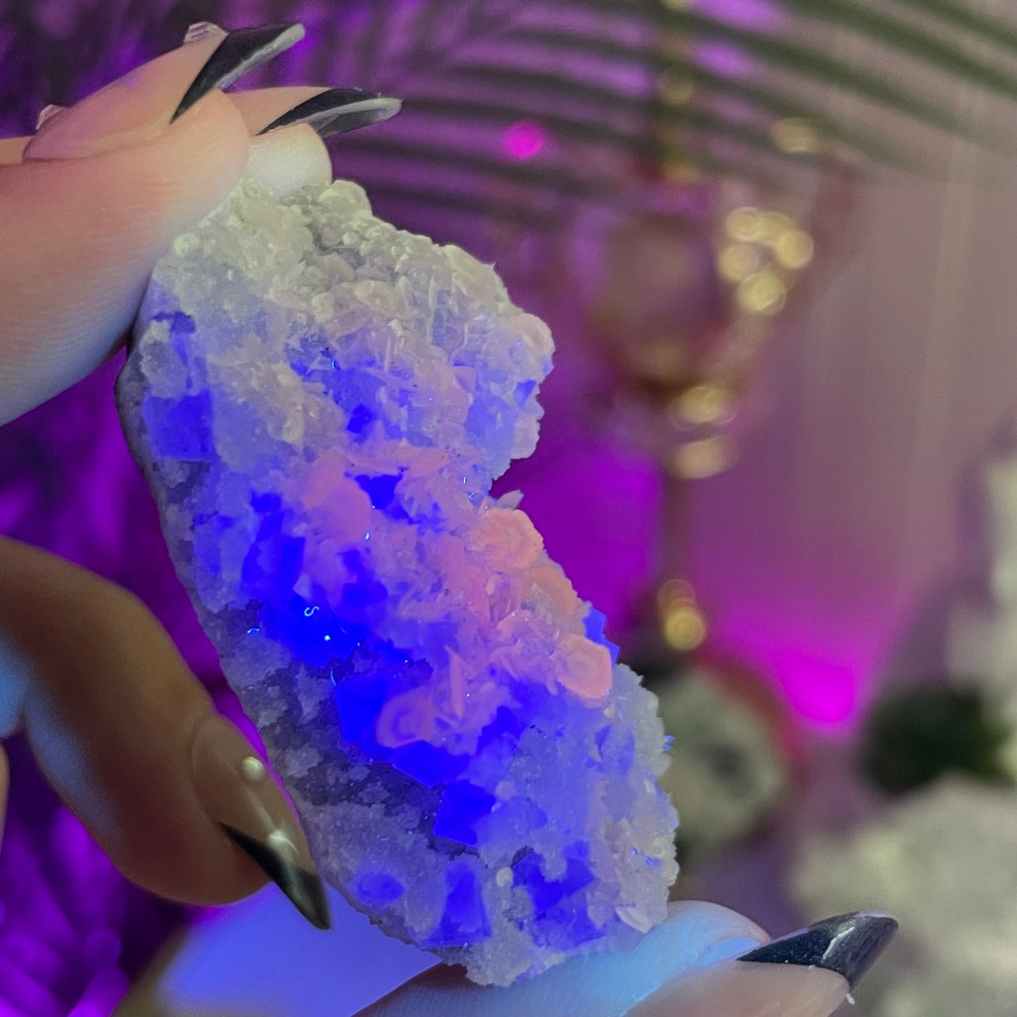 UV Reactive Fujian Fluorite w/ Coin Calcite