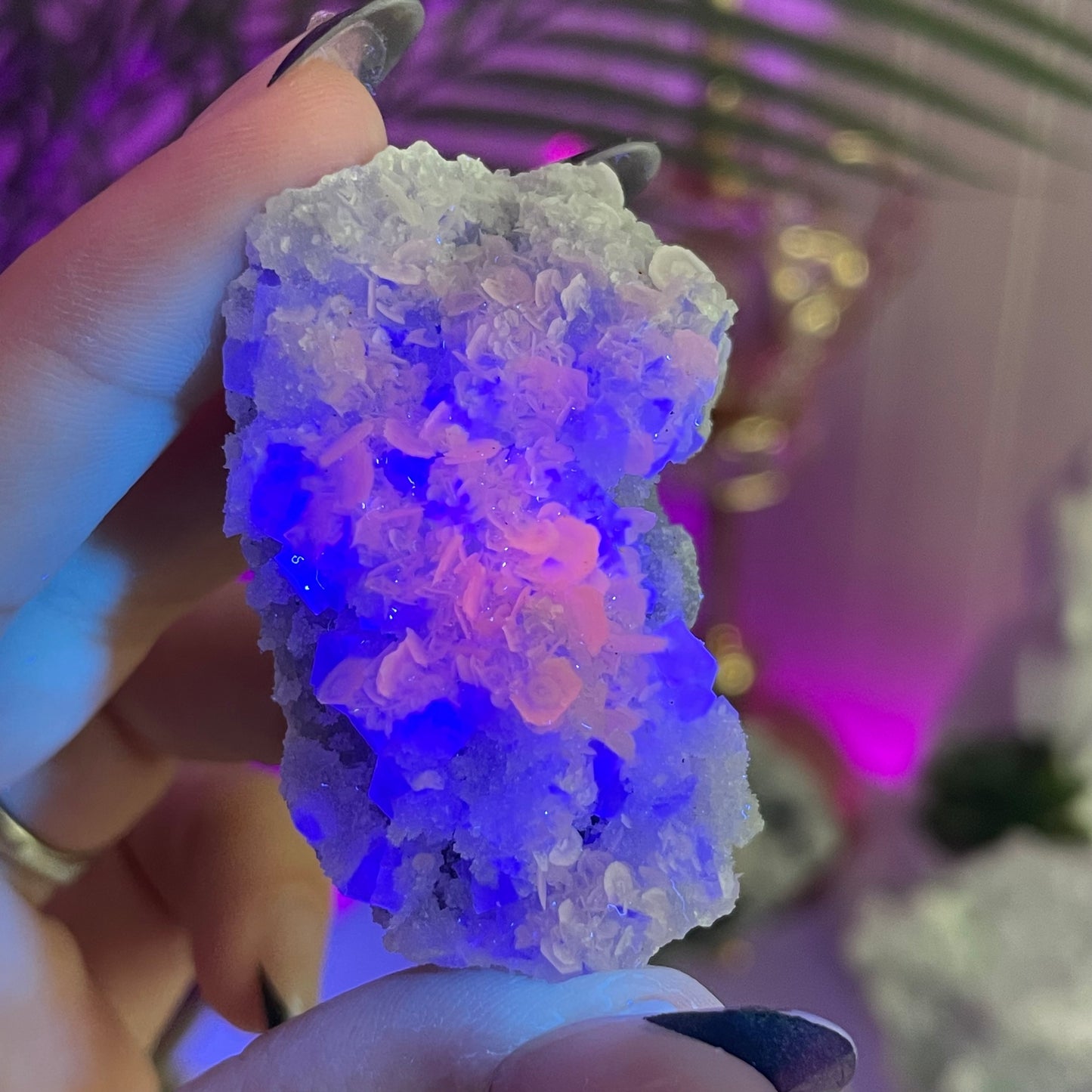 UV Reactive Fujian Fluorite w/ Coin Calcite