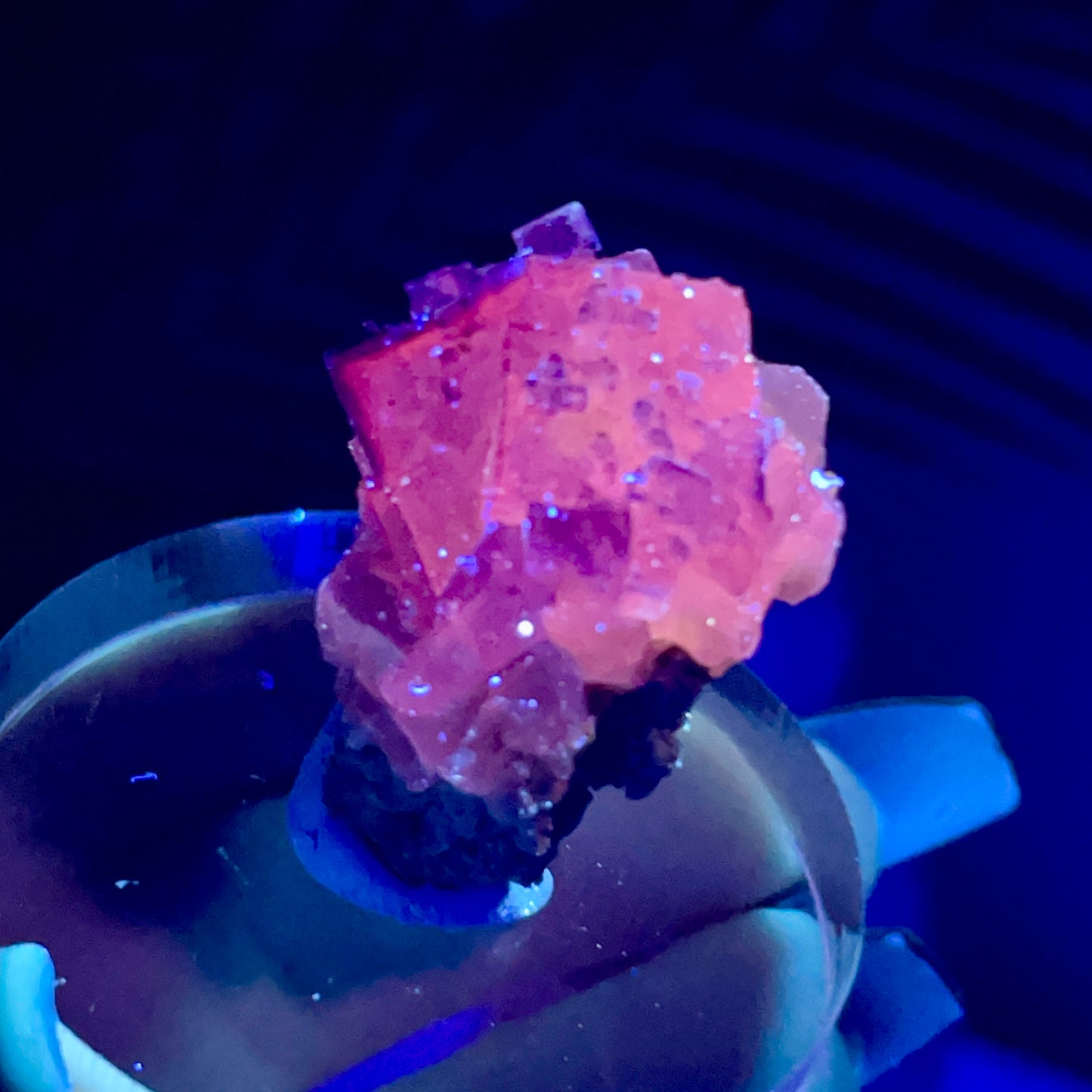 UV Reactive Muzquiz Fluorite w/ Celestite
