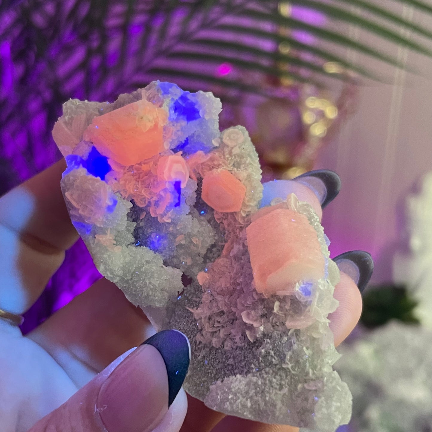 UV Reactive Fujian Fluorite w/ Coin Calcite & Hematite Druzy