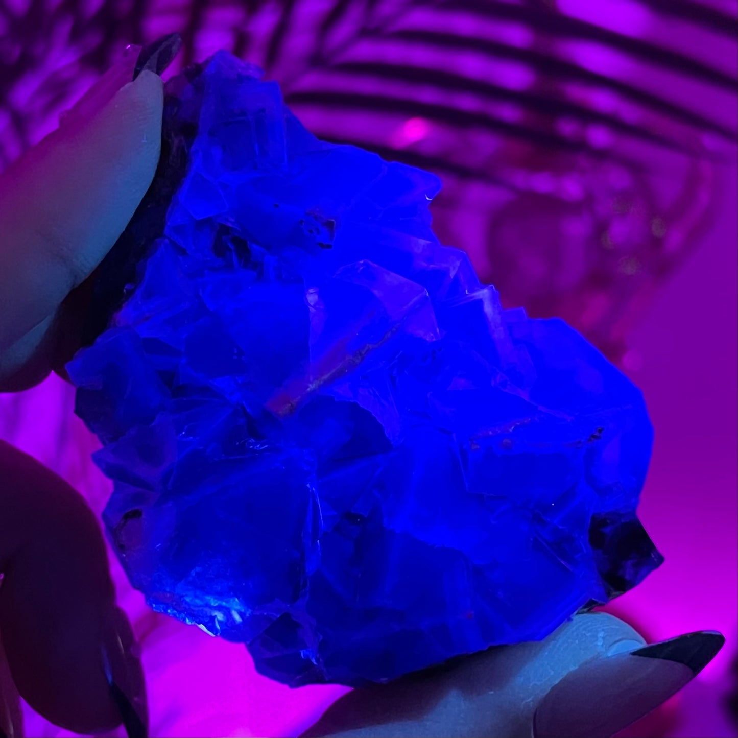 UV Reactive Yindu Fluorite
