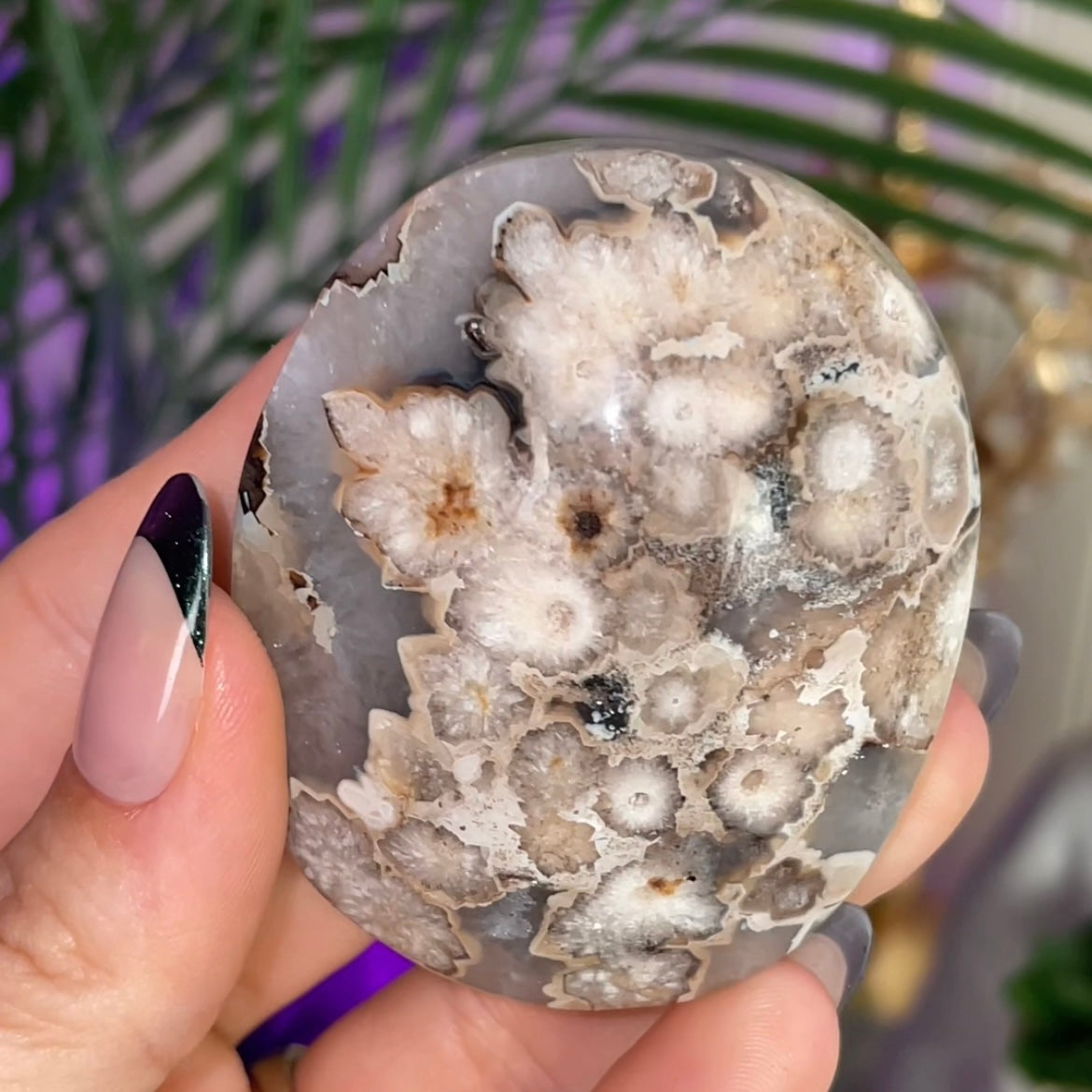Black Flower Agate Palmstone