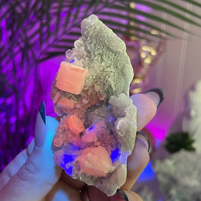 UV Reactive Fujian Fluorite w/ Coin Calcite & Hematite Druzy