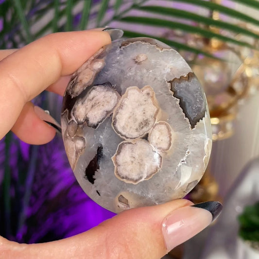 Black Flower Agate Palmstone