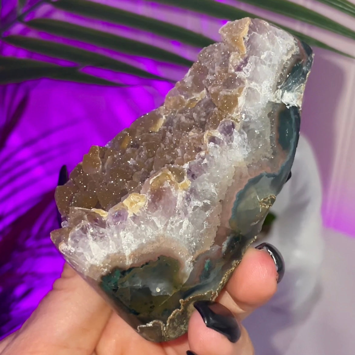 Sugar Amethyst Freeform