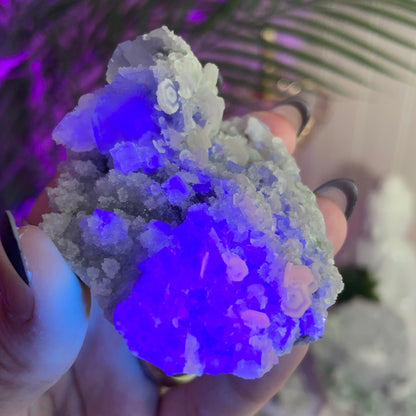 UV Reactive Fujian Fluorite w/ Coin Calcite