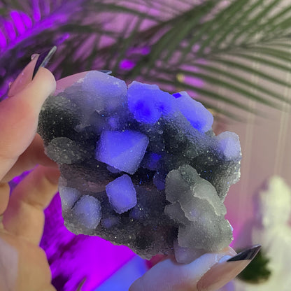 UV Reactive Sugar Coated Octahedral Fluorite