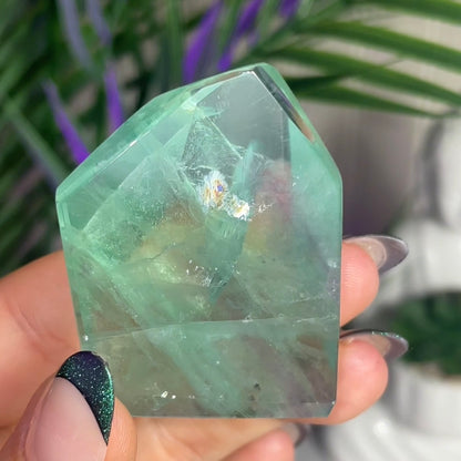 Gemmy Fluorite Mini Freeform