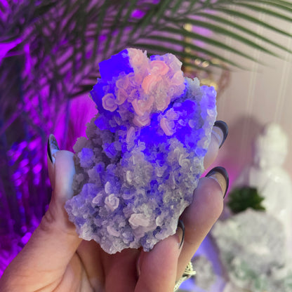 UV Reactive Fujian Fluorite w/ Coin Calcite