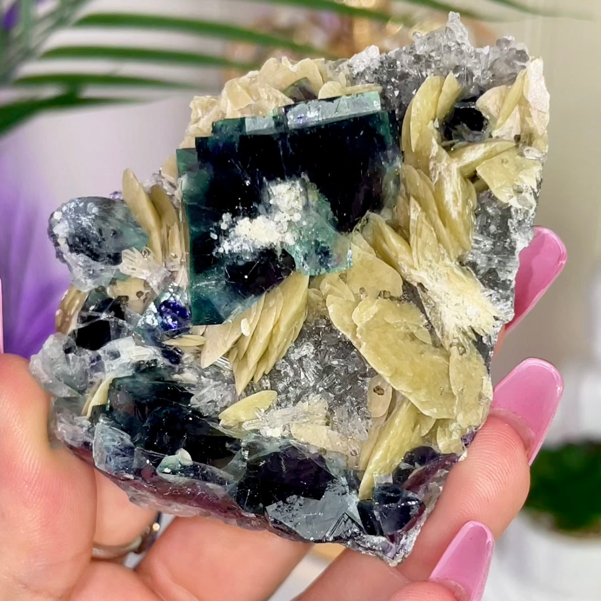 UV Reactive Yindu Fluorite w/ Bismuthinite