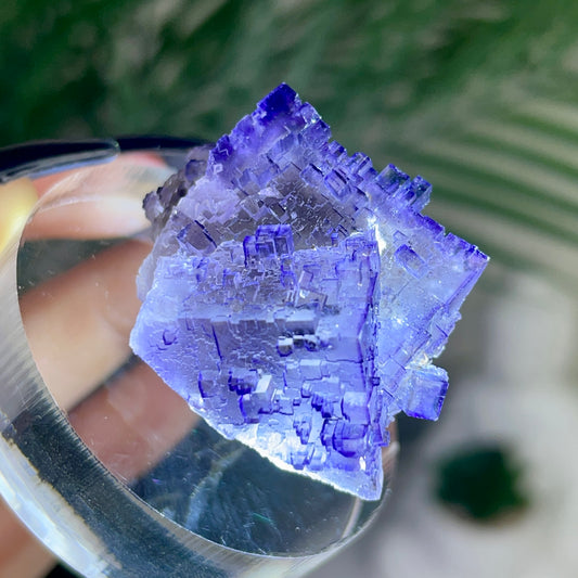 Muzquiz Fluorite