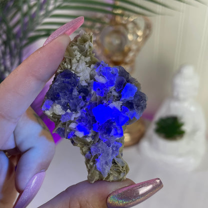 UV Reactive Yindu Fluorite w/ Siderite