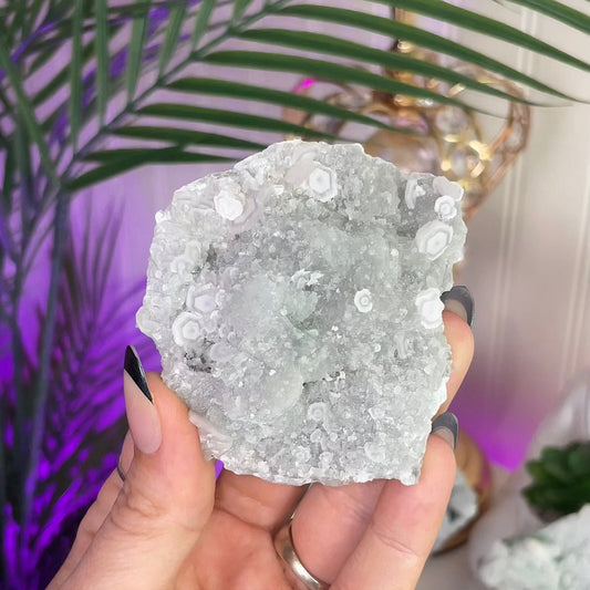 UV Reactive Fujian Fluorite w/ Coin Calcite