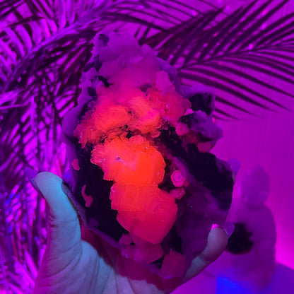 UV Reactive Coin Calcite & Hematite Druzy