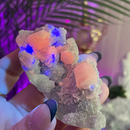 UV Reactive Fujian Fluorite w/ Coin Calcite & Hematite Druzy