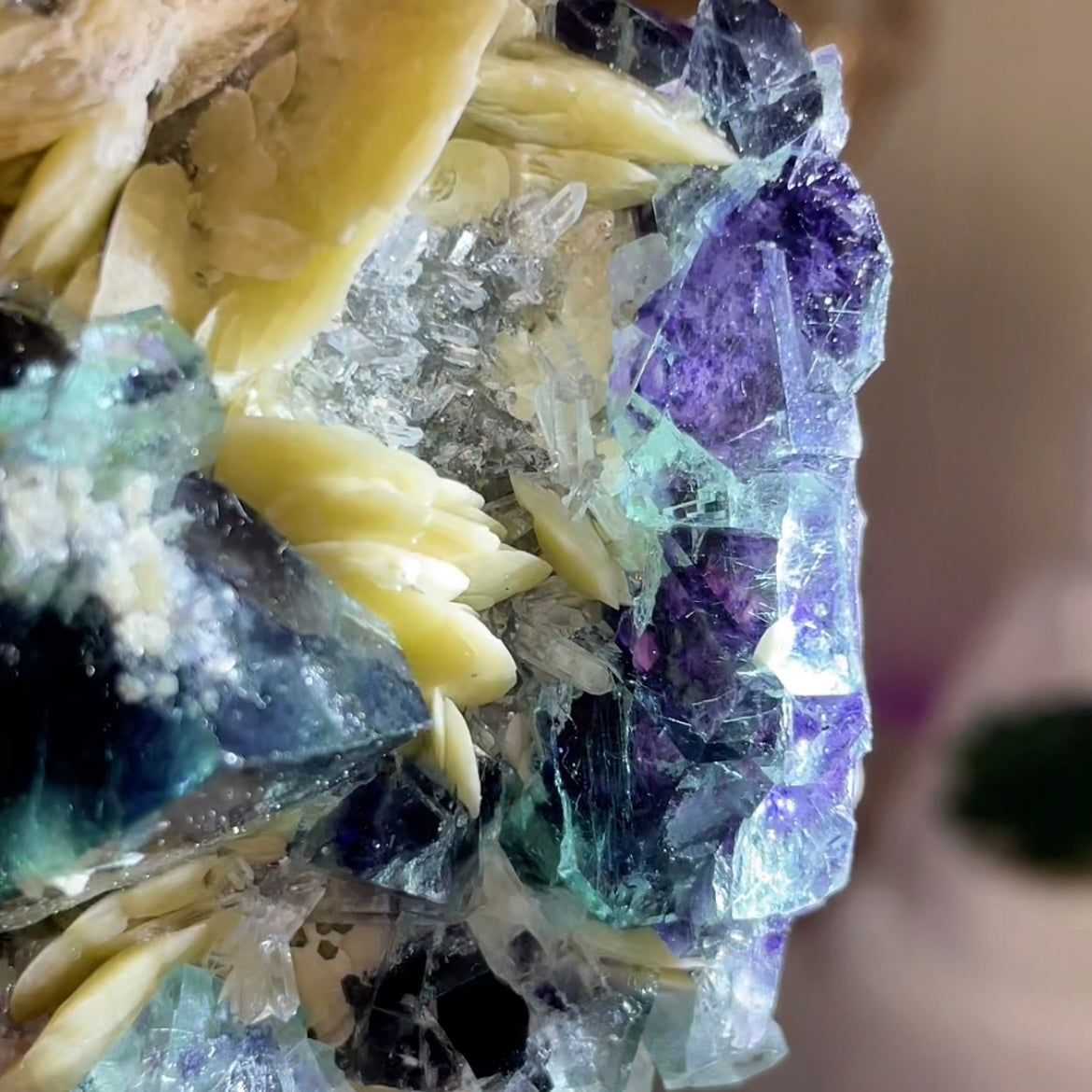 UV Reactive Yindu Fluorite w/ Bismuthinite