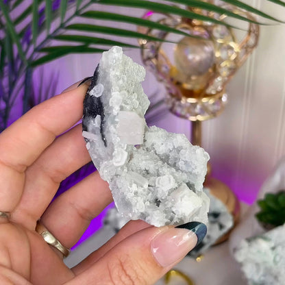 UV Reactive Fujian Fluorite w/ Coin Calcite & Hematite Druzy