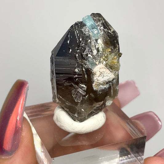 Aquamarine on Smokey Quartz - Jayde and Jewels