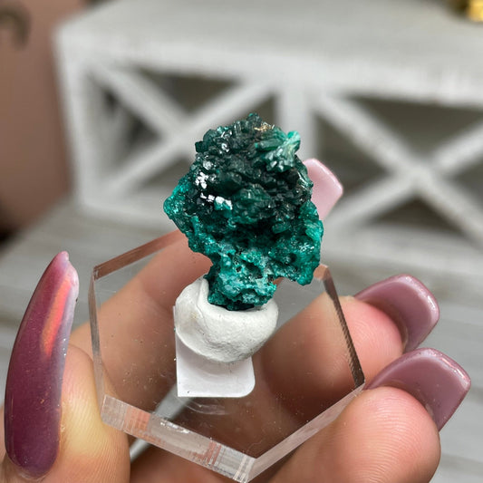 Dioptase Specimen - Jayde and Jewels