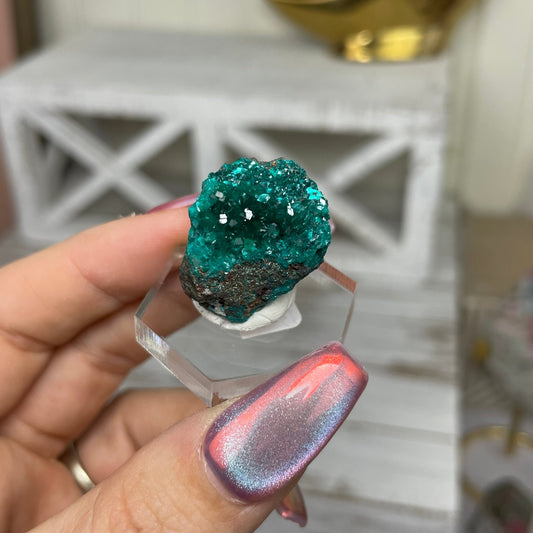 Dioptase Specimen - Jayde and Jewels