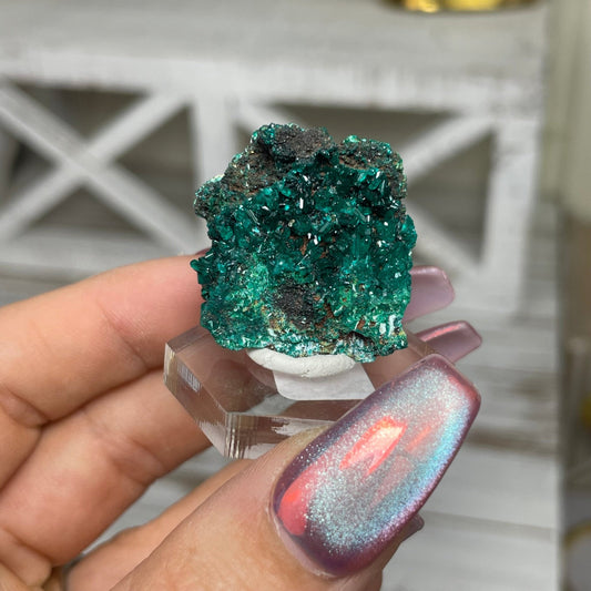 Dioptase Specimen - Jayde and Jewels