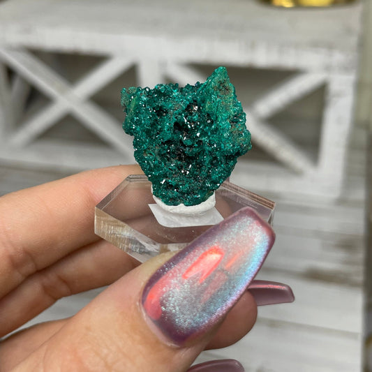 Dioptase Specimen - Jayde and Jewels