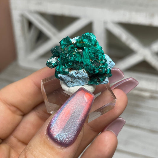 Dioptase Specimen - Jayde and Jewels