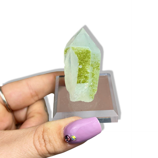 Epidote on Chlorite Quartz Specimen - Jayde and Jewels