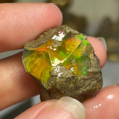 Ethiopian Welo Water Opal (Jar Included) - Jayde and Jewels