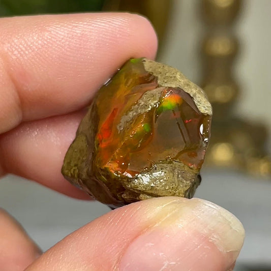 Ethiopian Welo Water Opal (Jar Included) - Jayde and Jewels