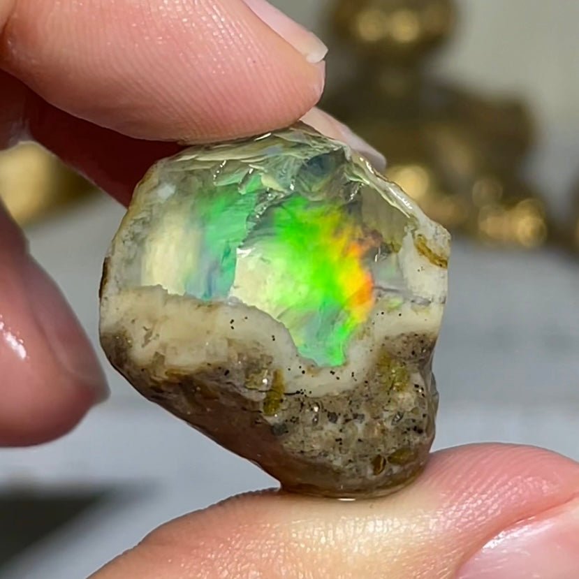 Ethiopian Welo Water Opal (Jar Included) - Jayde and Jewels