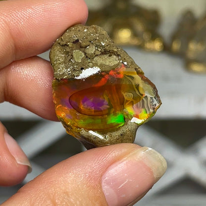 Ethiopian Welo Water Opal (Jar Included) - Jayde and Jewels