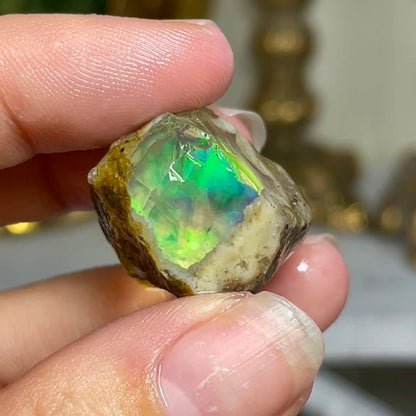 Ethiopian Welo Water Opal (Jar Included) - Jayde and Jewels