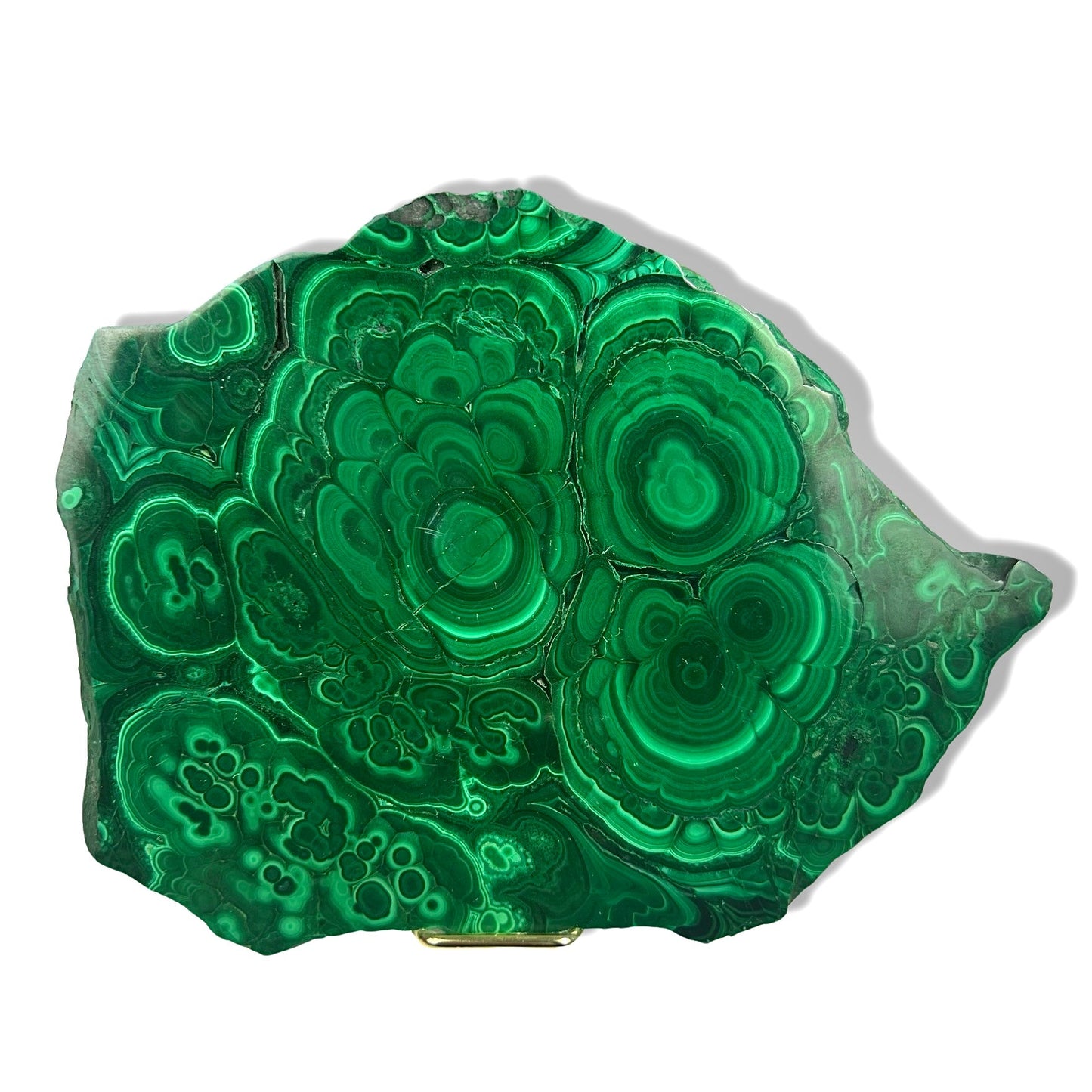 Malachite Slab - Jayde and Jewels