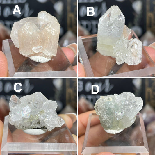 Mixed Apophyllite Specimens - Jayde and Jewels