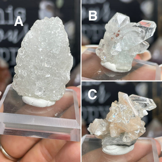 Mixed Apophyllite Specimens - Jayde and Jewels