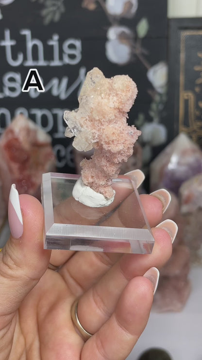 Pink Chalcedony Stalactite w/ Diamond Apophyllite Specimens