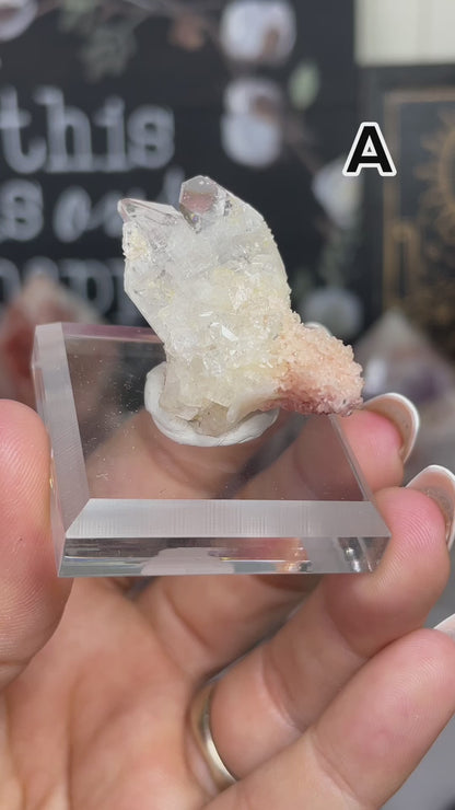 Pink Chalcedony Stalactite w/ Diamond Apophyllite Specimens