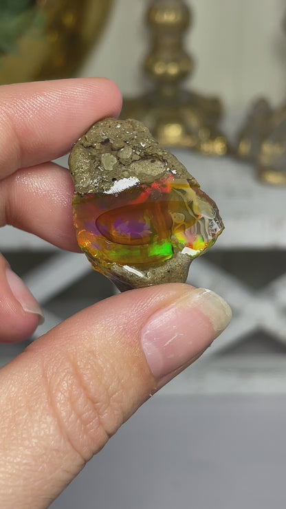 Ethiopian Welo Water Opal (Jar Included)