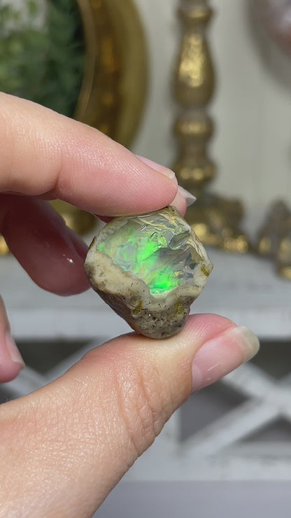 Ethiopian Welo Water Opal (Jar Included)