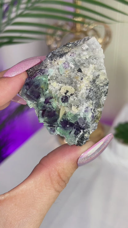 UV Reactive Yindu Fluorite w/ Bismuthinite