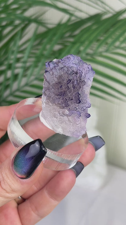 UV Reactive Muzquiz Fluorite w/ Celestite