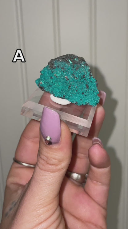 Super Sparkly✨Chrysocolla Malachite Specimens