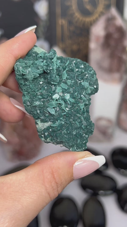 Green Marsh Apophyllite