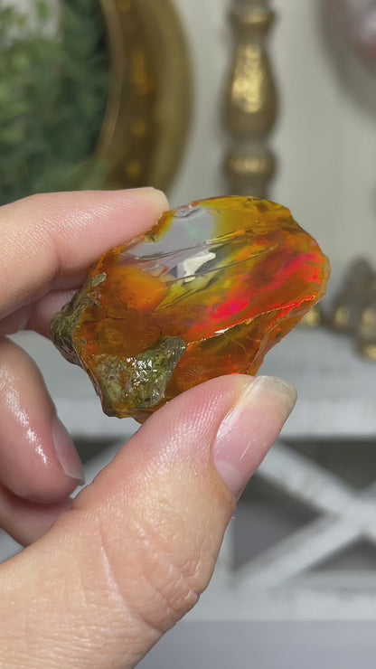 Ethiopian Welo Water Opal (Jar Included)