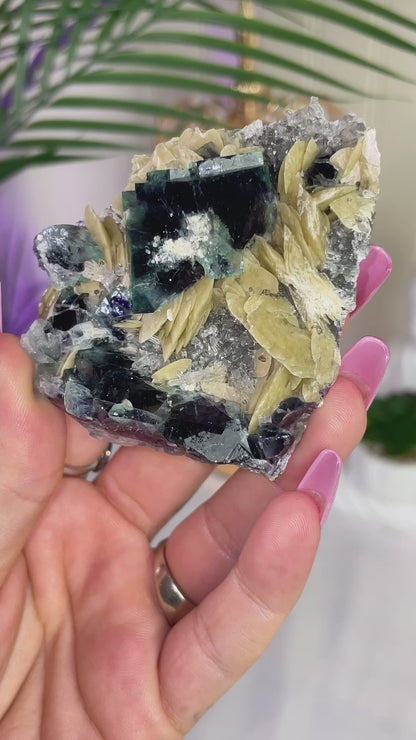 UV Reactive Yindu Fluorite w/ Bismuthinite