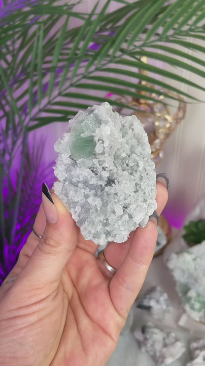 UV Reactive Fujian Fluorite w/ Coin Calcite